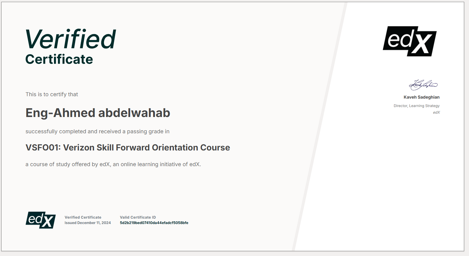 VSFO01: Verizon Skill Forward Orientation Course